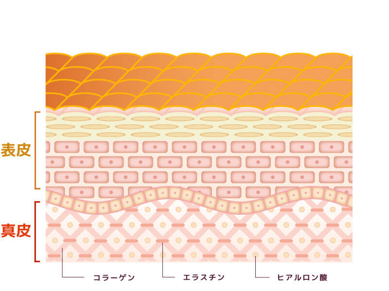 一般的なハンドクリームが肌表面をコーティングするイメージ図