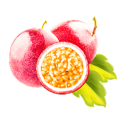 クダモノケイソウ果実エキスのイメージ写真