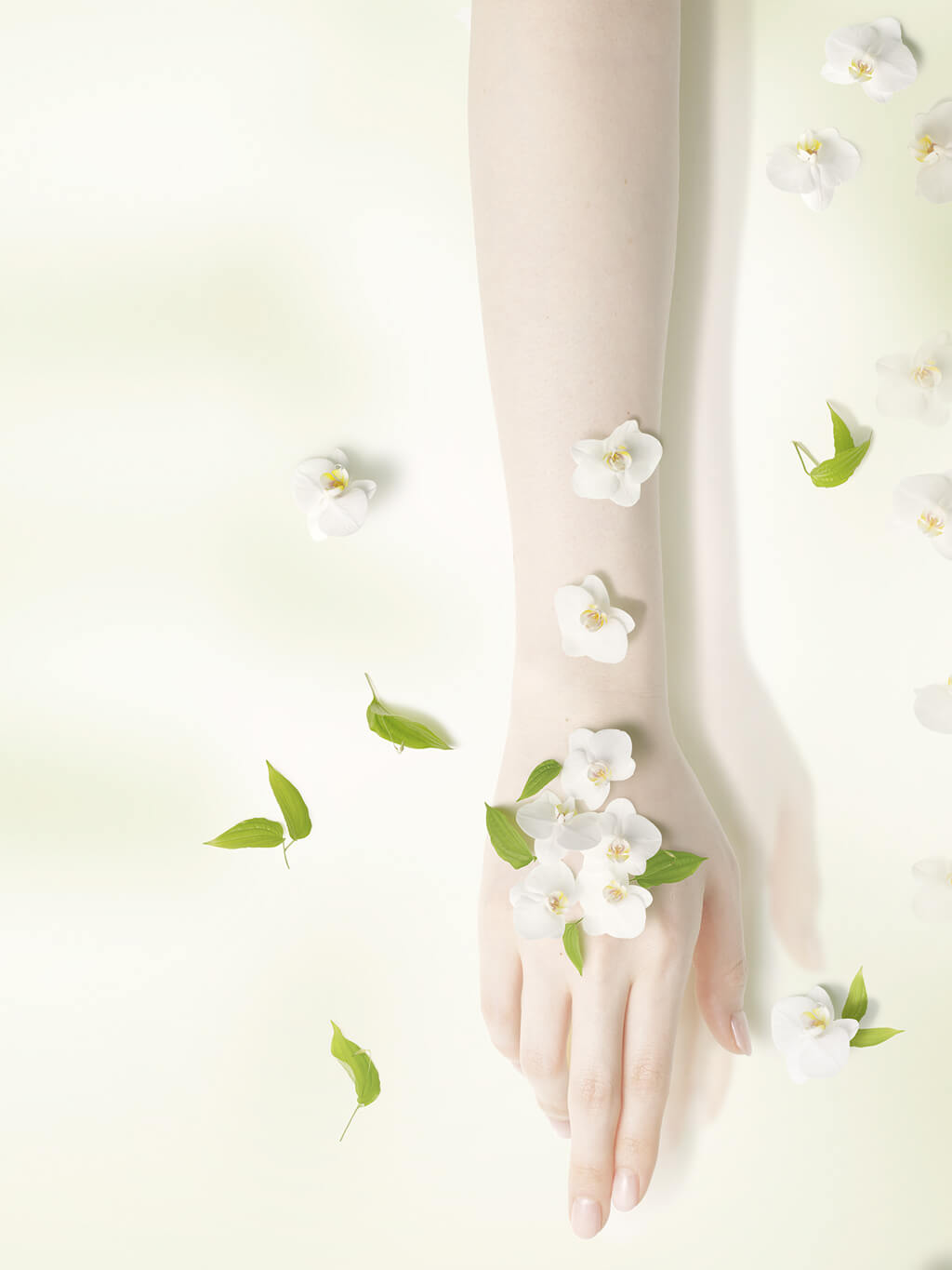 コラム用背景画像